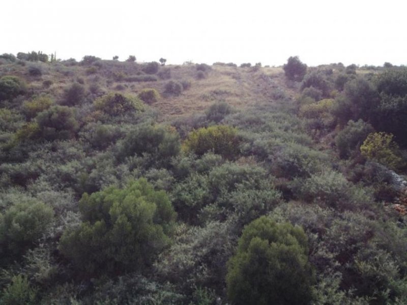 Douliana Kreta, Douliana : Atemberaubendes Grundstück mit Meerblick zu verkaufen Grundstück kaufen